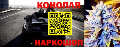 индика Донецк