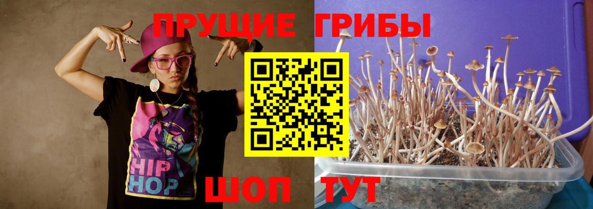 Майский  Псилоцибиновые грибы Magic Shrooms  Вход с VPN  Галлюциногенные грибы Psilocybine cubensis 